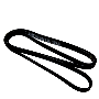 Serpentine Belt